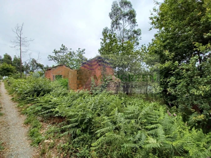 Quinta para Venda em Silva Escura e Dornelas Foto 4