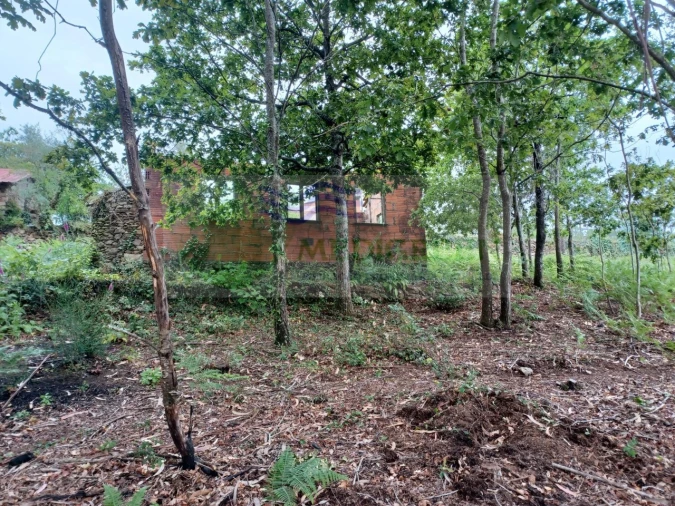 Quinta para Venda em Silva Escura e Dornelas Foto 7