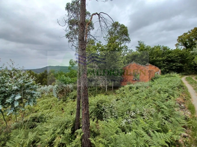 Quinta para Venda em Silva Escura e Dornelas Foto 11