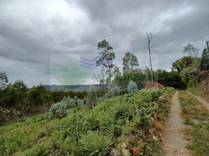 Quinta para Venda em Silva Escura e Dornelas Foto 14