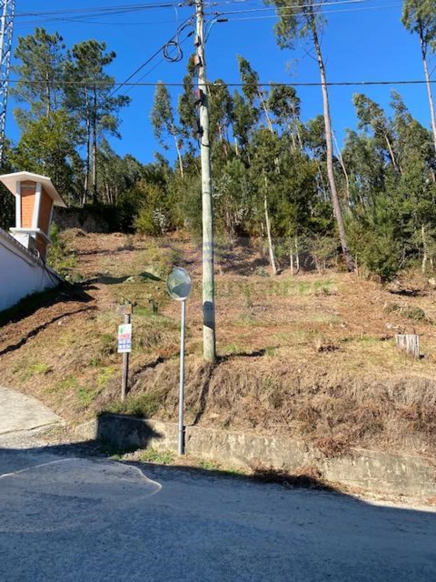 Terreno para Venda em Pessegueiro do Vouga Foto 1