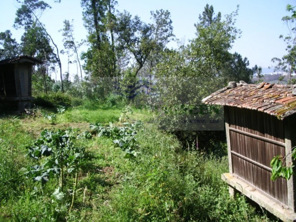 Quinta para Venda em Cedrim e Paradela Foto 3