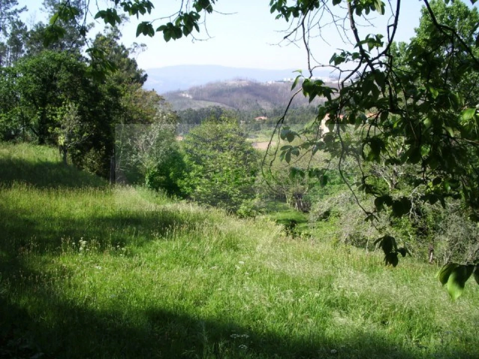 Quinta para Venda em Cedrim e Paradela Foto 4