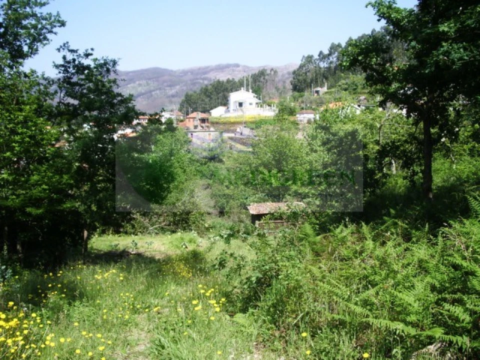 Quinta para Venda em Cedrim e Paradela Foto 5