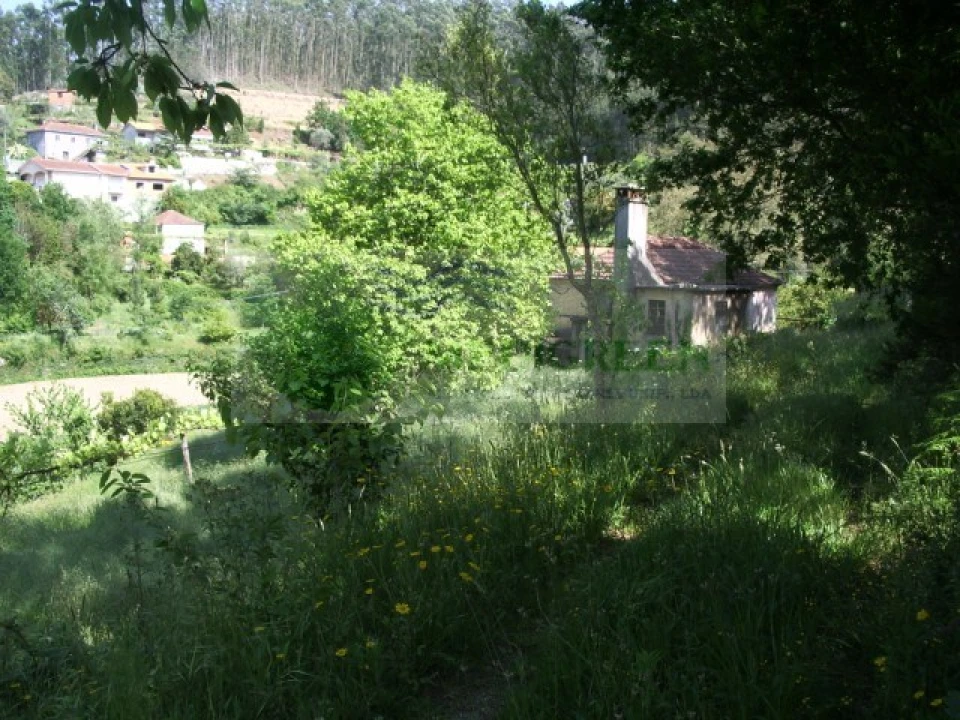 Quinta para Venda em Cedrim e Paradela Foto 8