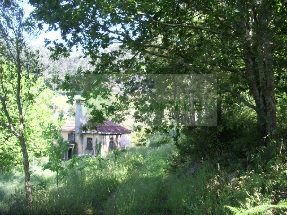 Quinta para Venda em Cedrim e Paradela Foto 9