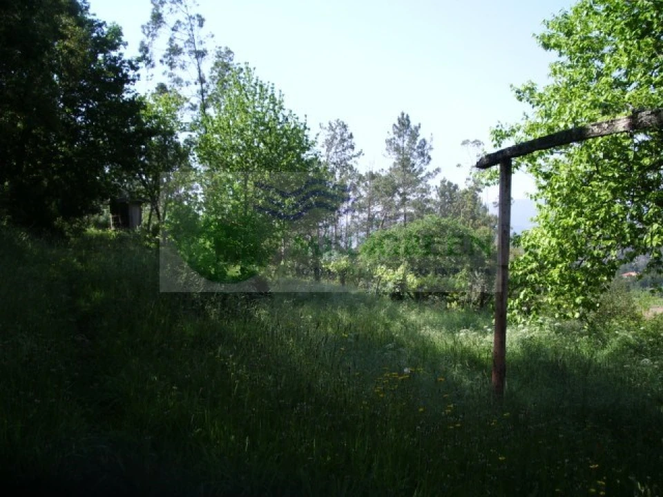 Quinta para Venda em Cedrim e Paradela Foto 16