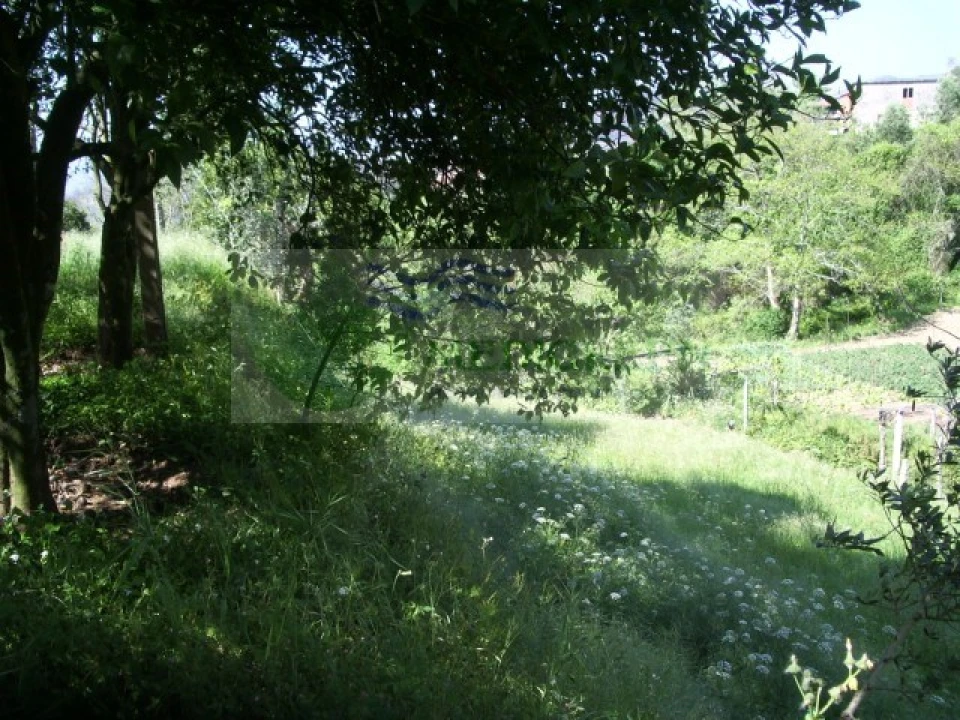 Quinta para Venda em Cedrim e Paradela Foto 20