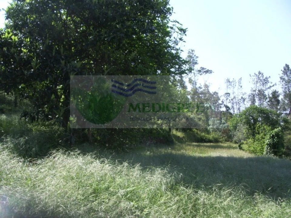 Quinta para Venda em Cedrim e Paradela Foto 22