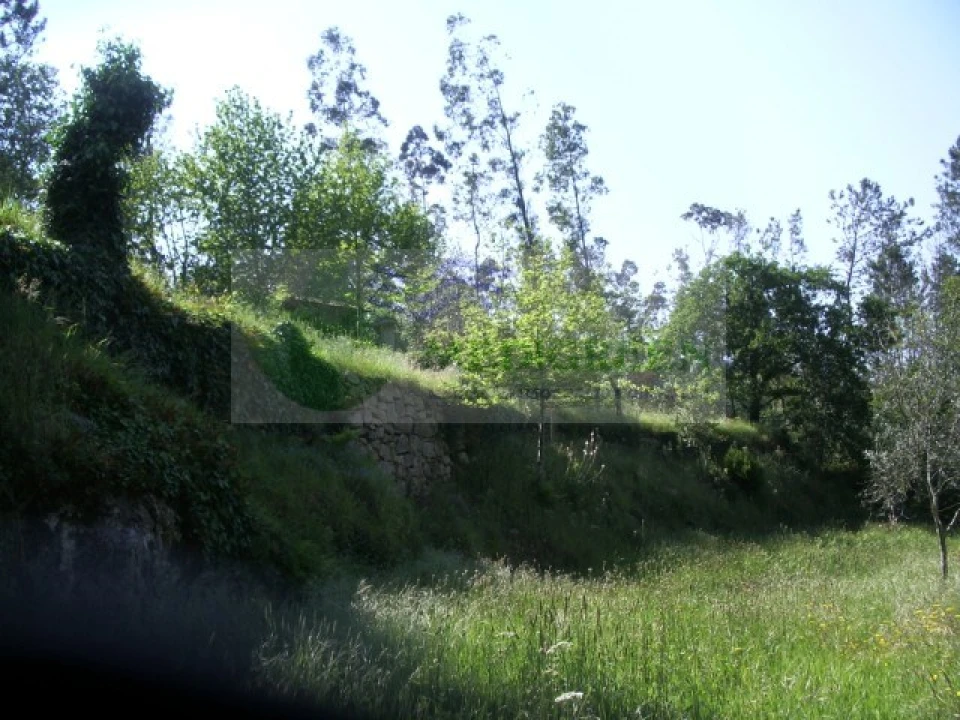 Quinta para Venda em Cedrim e Paradela Foto 27