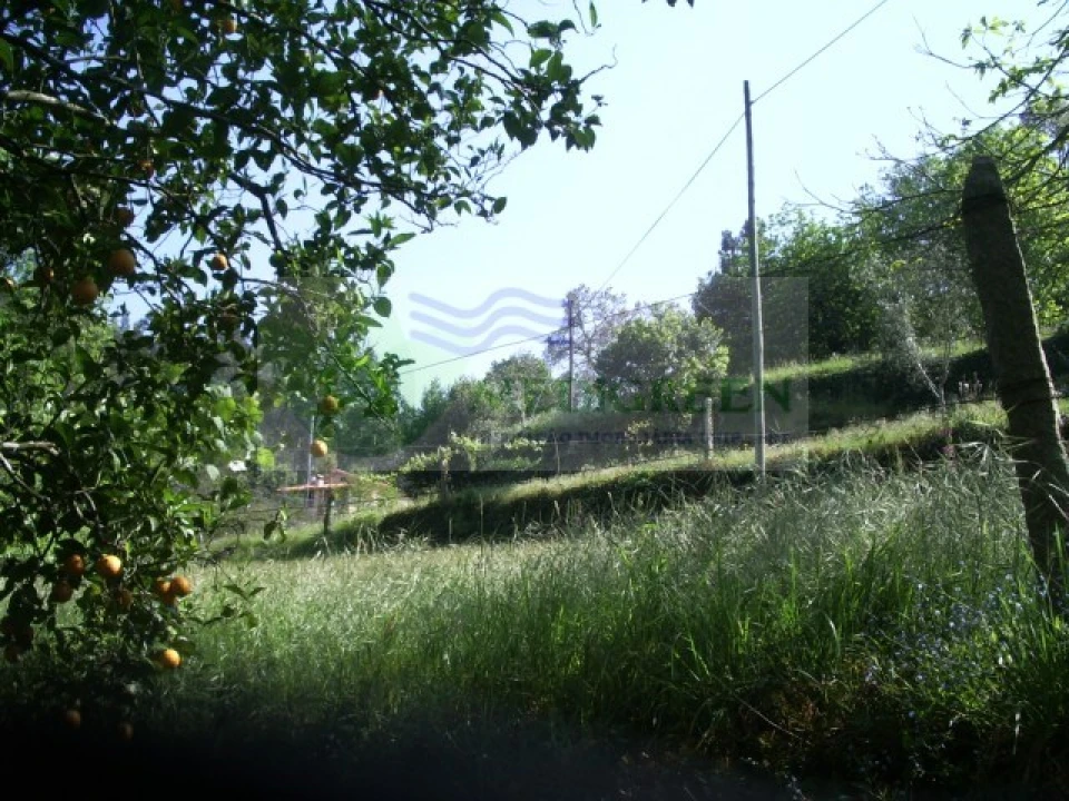 Quinta para Venda em Cedrim e Paradela Foto 30