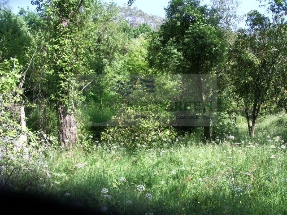 Quinta para Venda em Cedrim e Paradela Foto 36