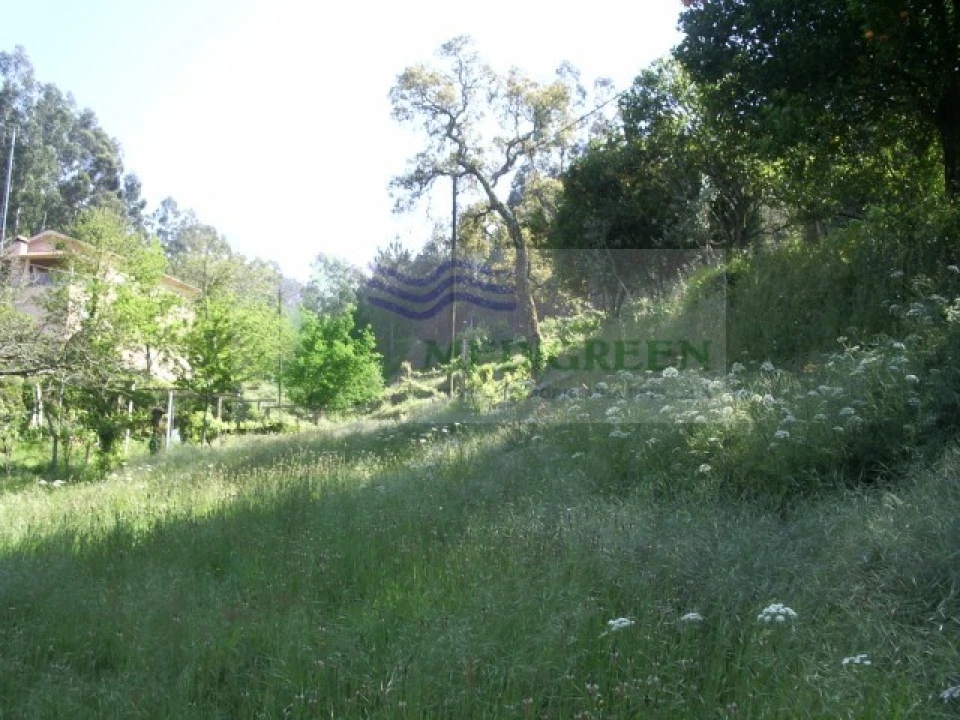 Quinta para Venda em Cedrim e Paradela Foto 39