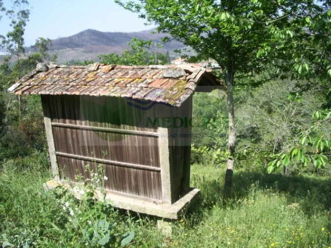 Quinta para Venda em Cedrim e Paradela Foto 2