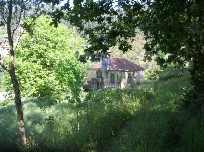 Quinta para Venda em Cedrim e Paradela Foto 10