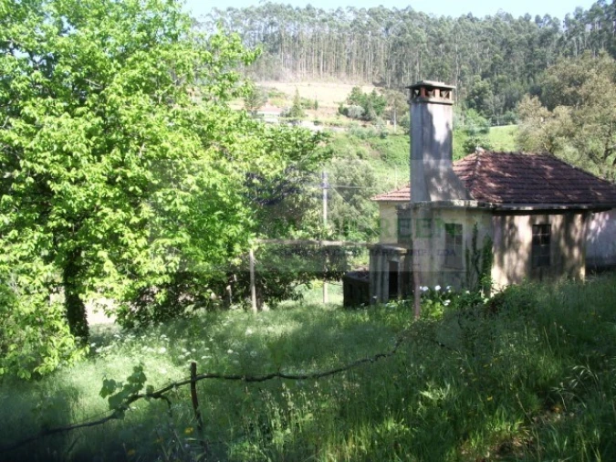 Quinta para Venda em Cedrim e Paradela Foto 11