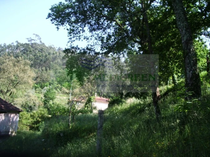 Quinta para Venda em Cedrim e Paradela Foto 13