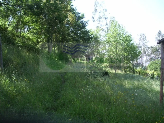 Quinta para Venda em Cedrim e Paradela Foto 15