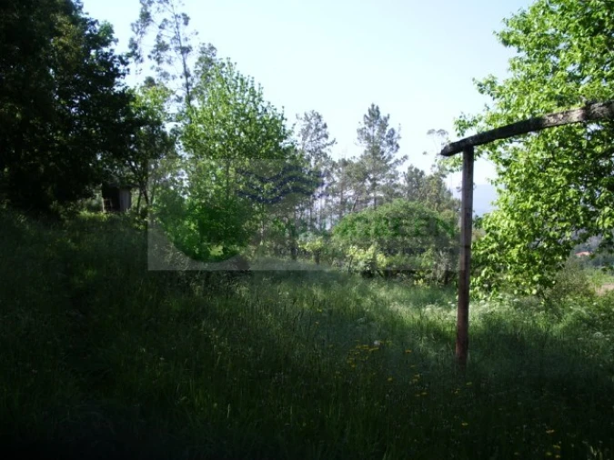 Quinta para Venda em Cedrim e Paradela Foto 16