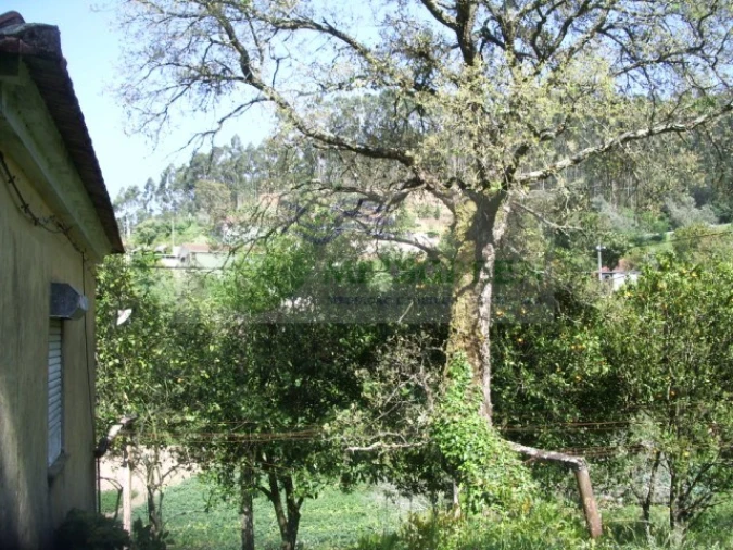 Quinta para Venda em Cedrim e Paradela Foto 17