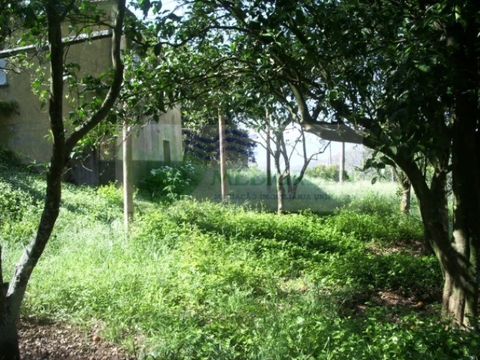 Quinta para Venda em Cedrim e Paradela Foto 19