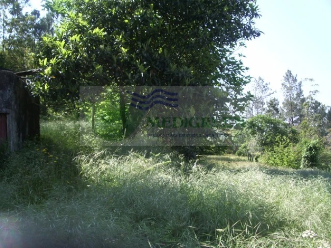 Quinta para Venda em Cedrim e Paradela Foto 23