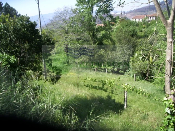 Quinta para Venda em Cedrim e Paradela Foto 24