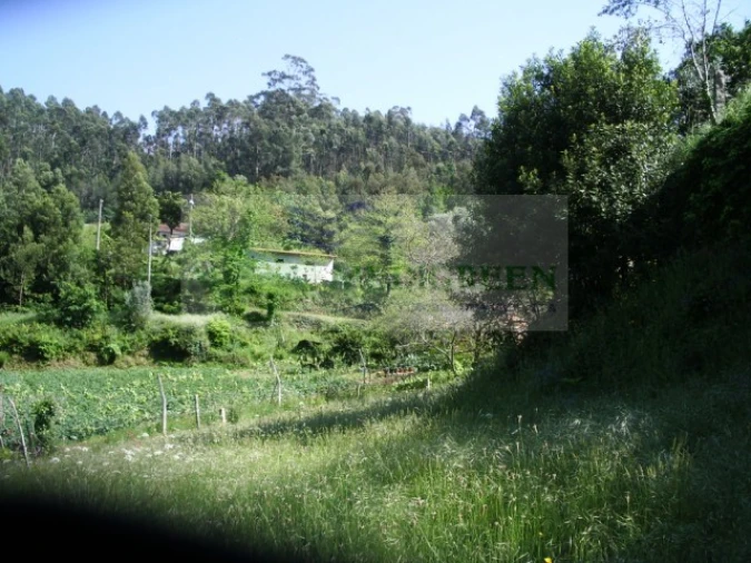 Quinta para Venda em Cedrim e Paradela Foto 25