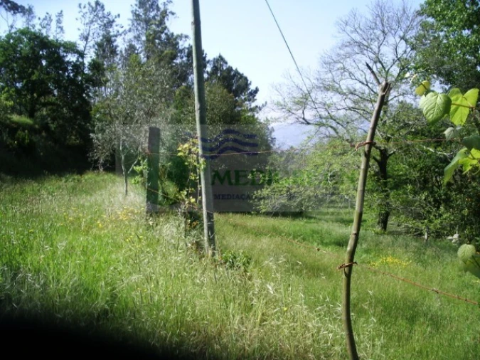 Quinta para Venda em Cedrim e Paradela Foto 26