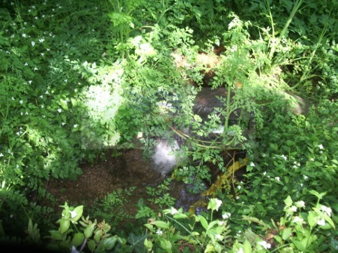 Quinta para Venda em Cedrim e Paradela Foto 31