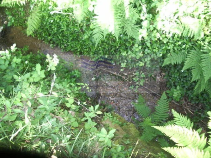 Quinta para Venda em Cedrim e Paradela Foto 32