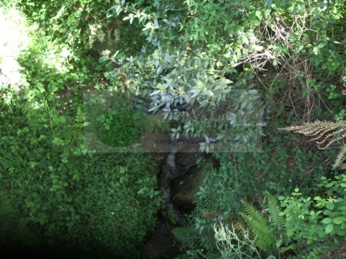 Quinta para Venda em Cedrim e Paradela Foto 34