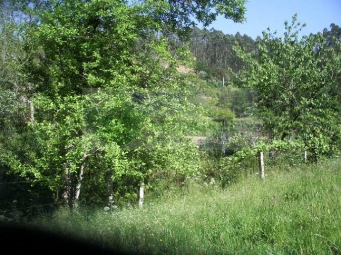 Quinta para Venda em Cedrim e Paradela Foto 38