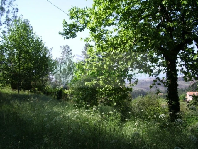 Quinta para Venda em Cedrim e Paradela Foto 40