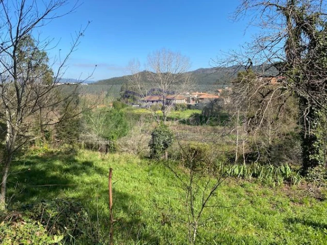 Quinta para Venda em Cedrim e Paradela Foto 1