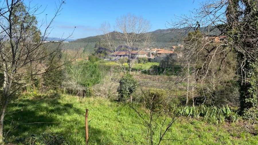 Quinta para Venda em Cedrim e Paradela