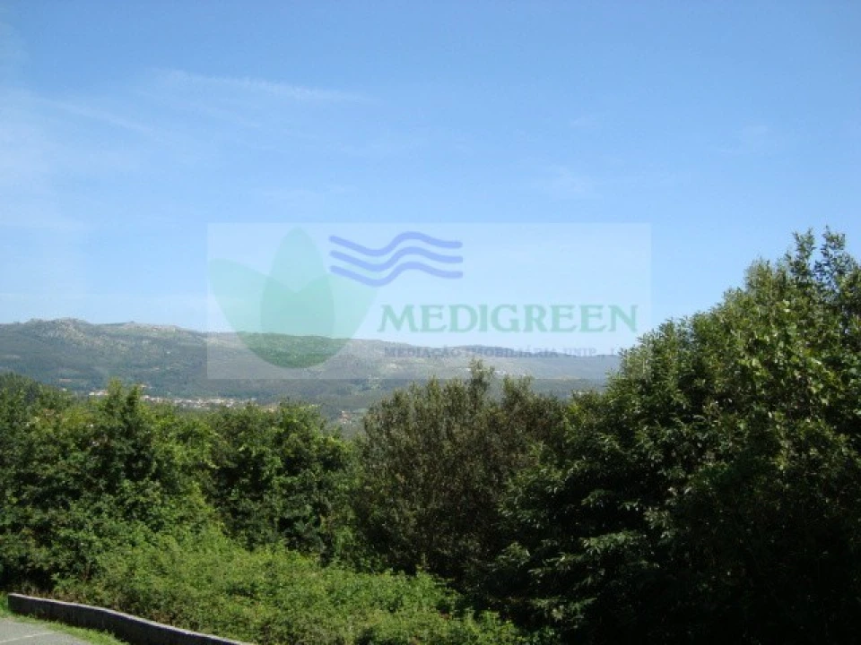 Terreno para Venda em Pessegueiro do Vouga Foto 5