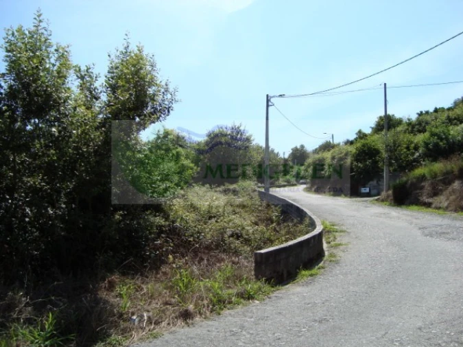 Terreno para Venda em Pessegueiro do Vouga Foto 2
