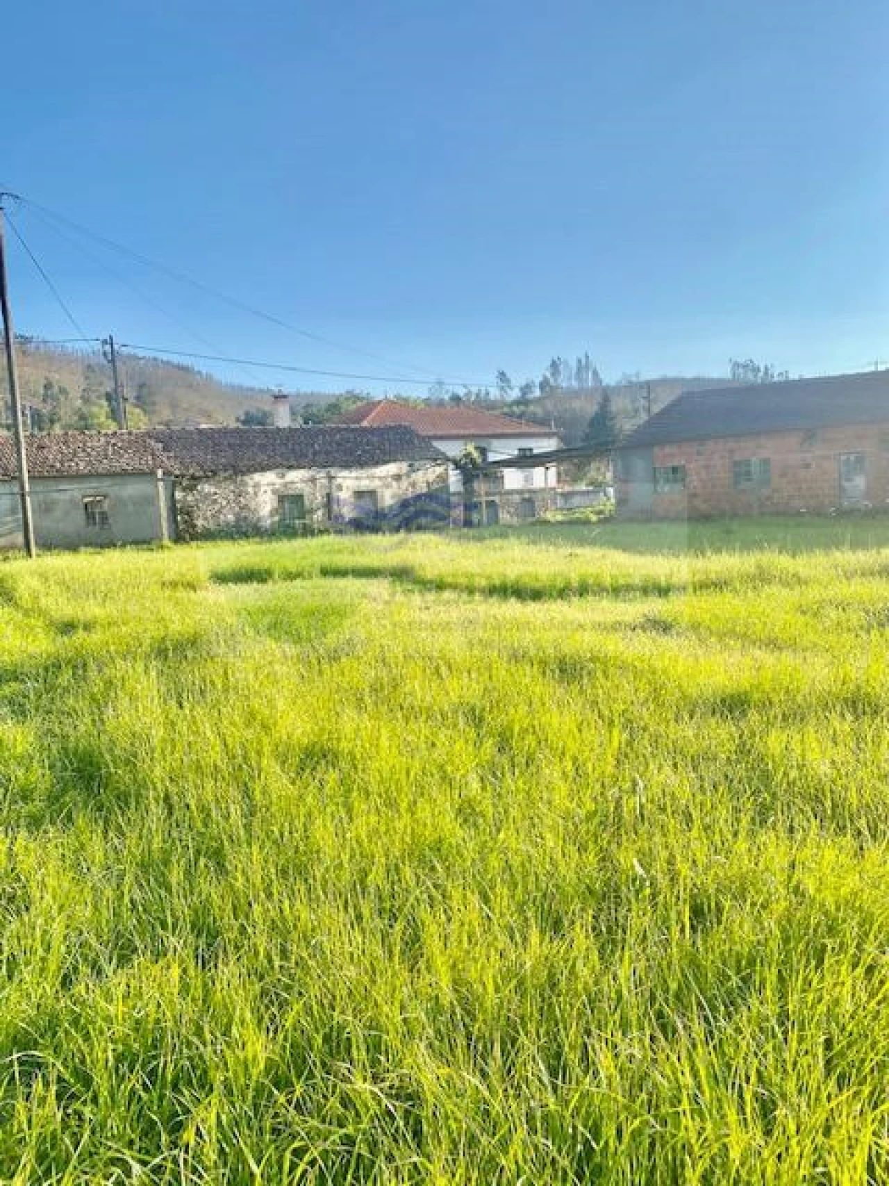 Terreno para Venda em Cedrim e Paradela Foto 3