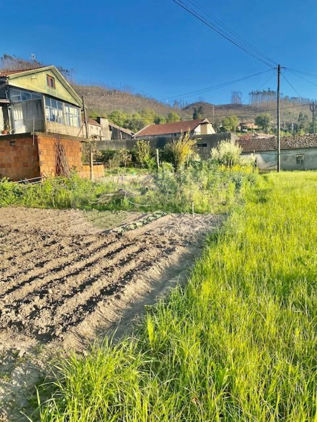Terreno para Venda em Cedrim e Paradela Foto 5