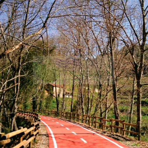 Terreno para Venda em Pessegueiro do Vouga Foto 4
