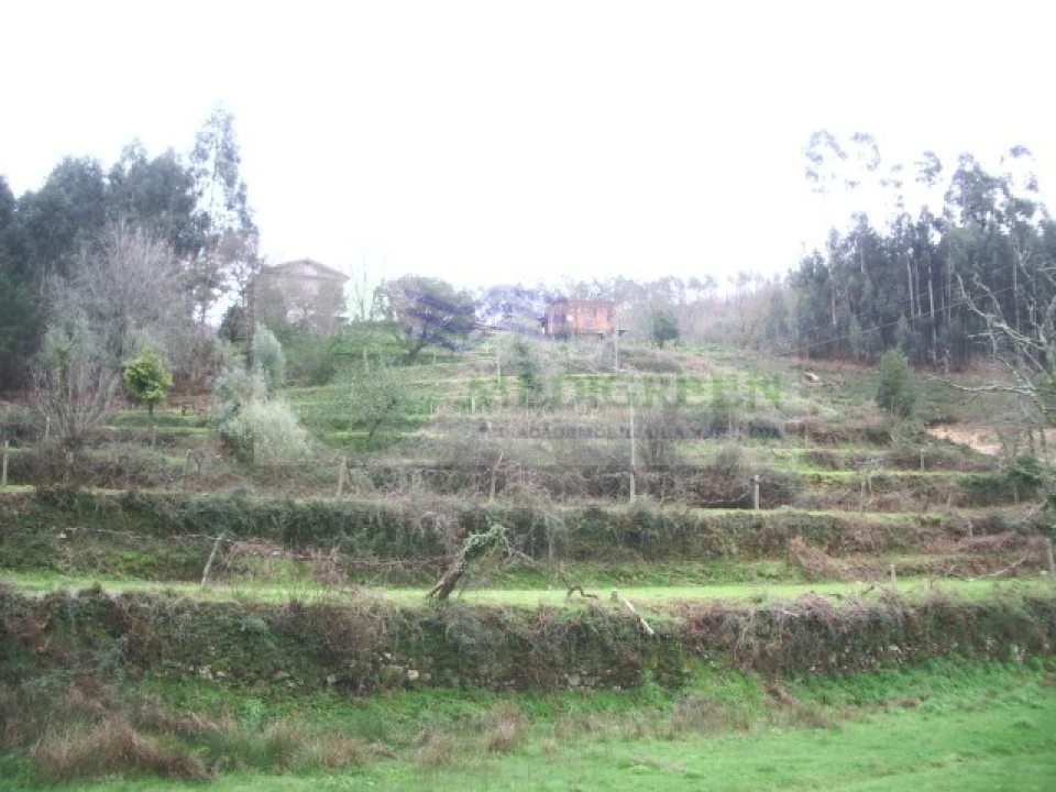 Quinta para Venda em Cedrim e Paradela Foto 2
