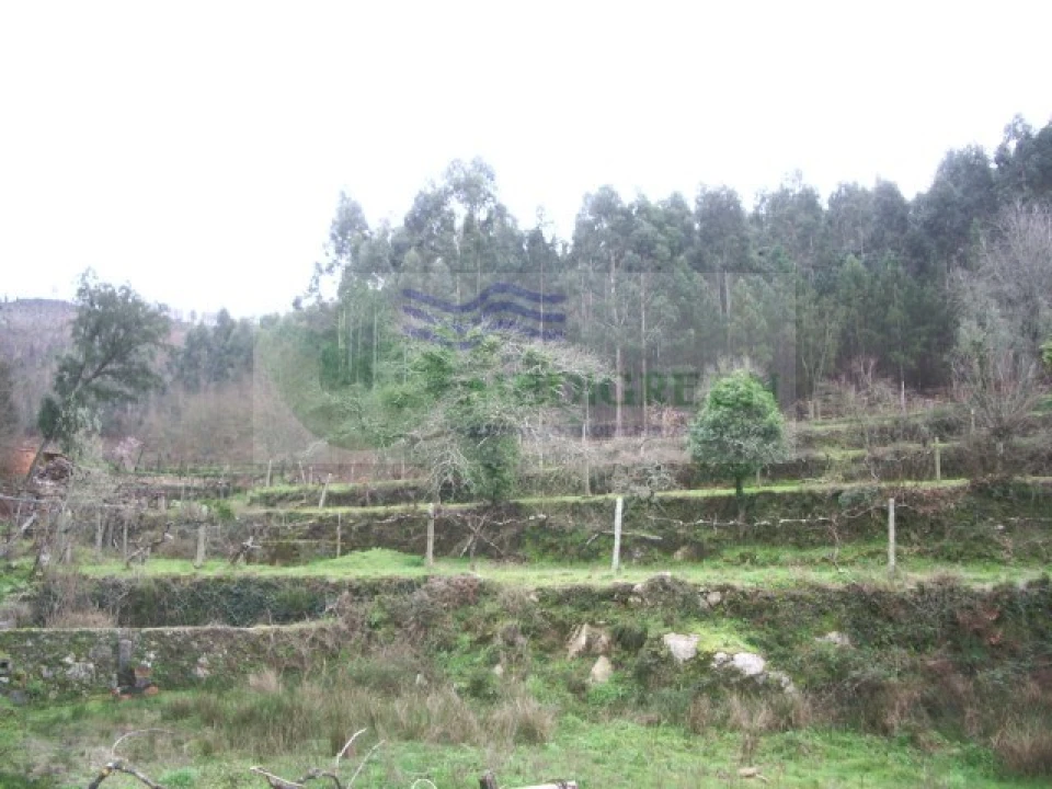 Quinta para Venda em Cedrim e Paradela Foto 3
