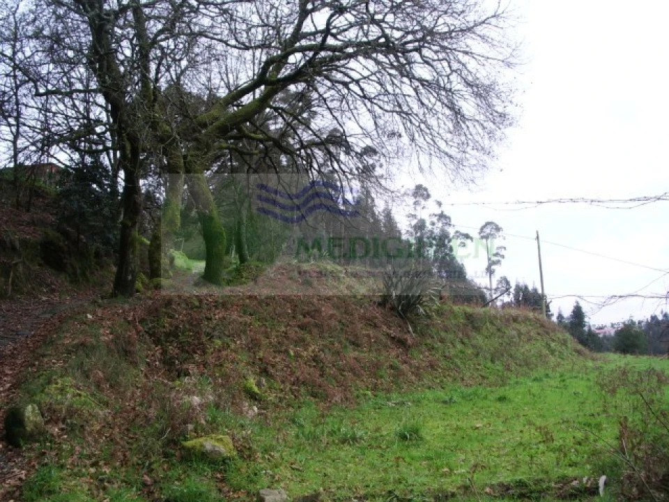 Quinta para Venda em Cedrim e Paradela Foto 4