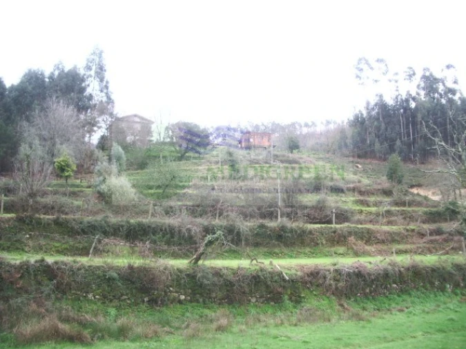 Quinta para Venda em Cedrim e Paradela Foto 2