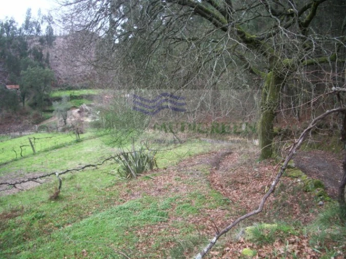 Quinta para Venda em Cedrim e Paradela Foto 5