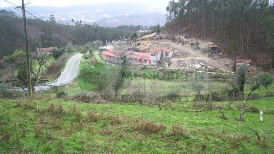 Quinta para Venda em Cedrim e Paradela