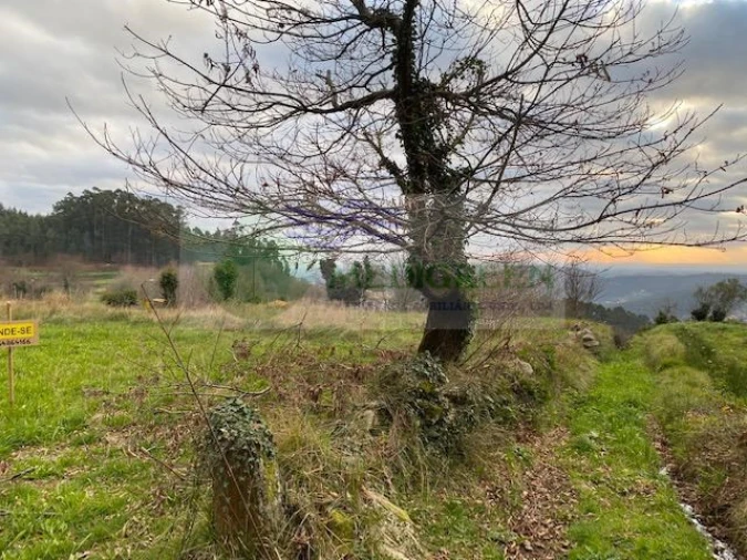 Terreno para Venda em Silva Escura e Dornelas