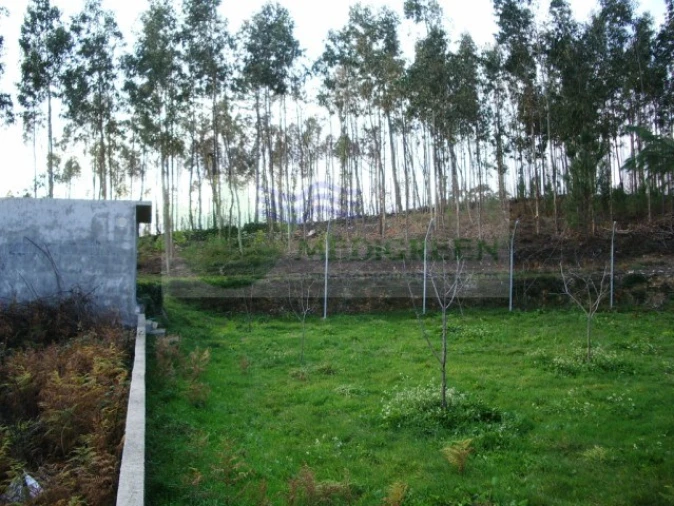 Terreno para Venda em Rocas do Vouga Foto 1
