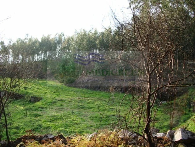Terreno para Venda em Rocas do Vouga Foto 2